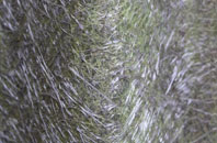 Blandford Camp fibreglass roof work